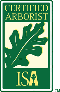 isa certified arborist